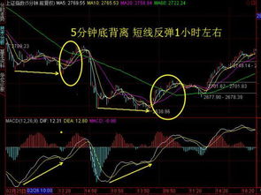 什么样的股票波动较大