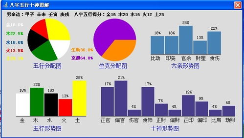 南方排八字专业程序下载 南方排八字软件v7.33 官方电脑版 极光下载站 