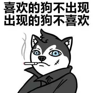 在温哥华做单身狗的6大好处 爽得听完都想分手了 娱乐频道 