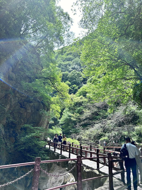 公园分享 太平国家森林公园 