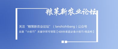 休闲产业开发项目的模式包括哪些？有没有专家可以阐述一下。