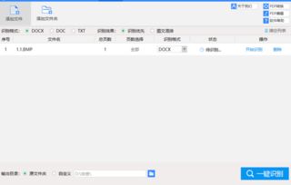 WPS怎样将图片转文字 WPS将图片转文字的方法 