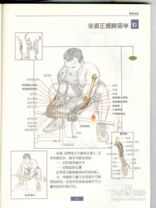 锻炼前臂肌肉最有效的方法