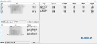 百度云解析下载工具 LmzDownload 313绿色版下载 