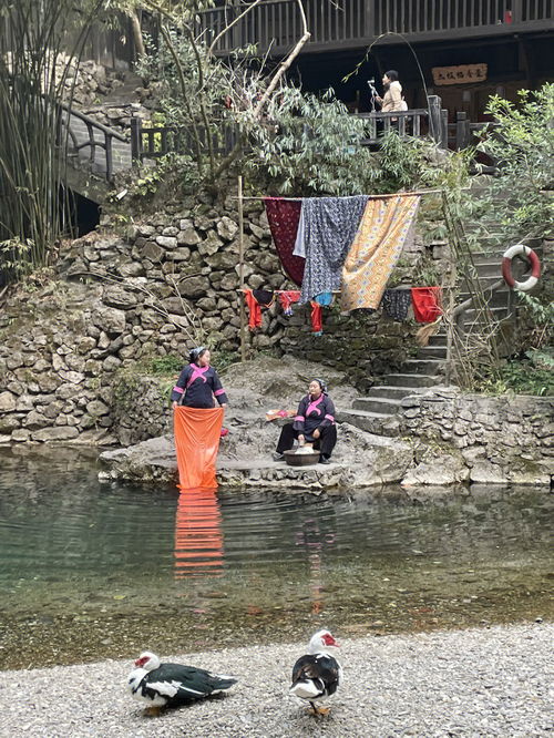 一些重点 三峡人家宜昌旅游攻略 人均200 