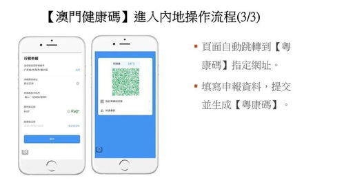 过海关流程（出口报关流程图） 第1张