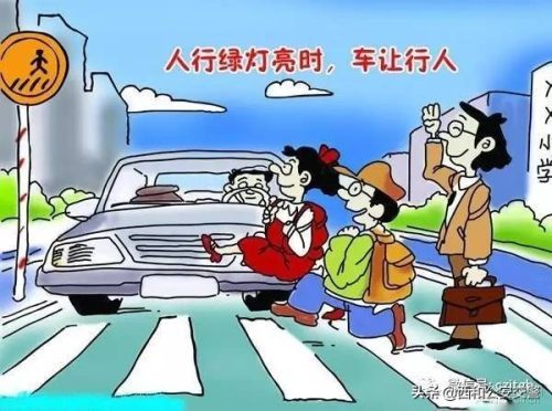 学生道路交通安全知识 红绿灯