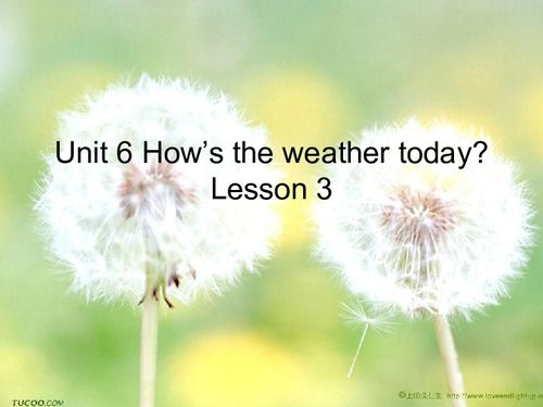 Unit 6 How s the weather today Lesson 3 