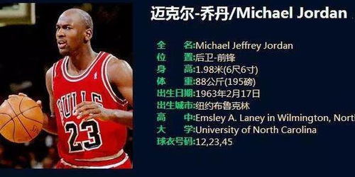 NBA球星介绍第一 迈克尔 乔丹