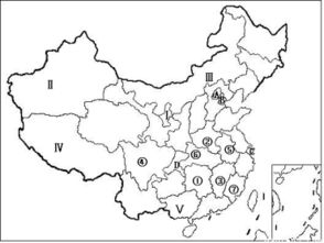 中国竹子最多的是哪个省级行政单位?