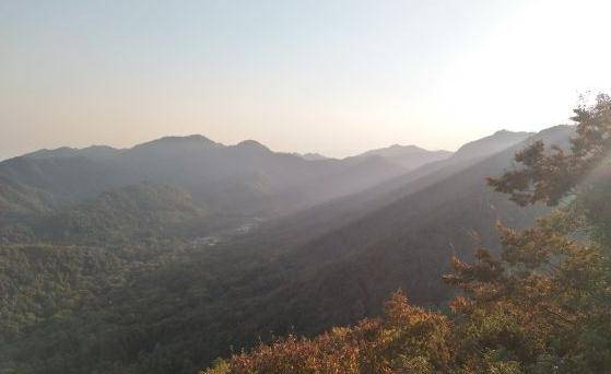 杭州最富盛名的山峰,灵气逼人,如今仙境频现游客入织