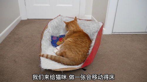 我们来给猫咪做一个会移动的猫窝,材料需要用到普通纸皮箱子 