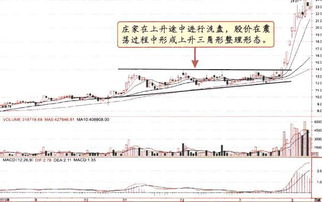 在股市中，洗盘是什么意思？请专业人士多多指点