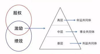 股权设计方案你知道多少 看看以下几种,你有没有学到什么