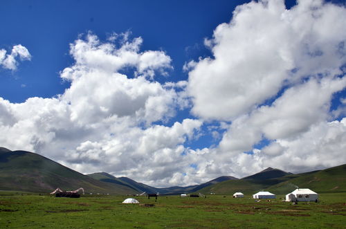 平安青藏高原