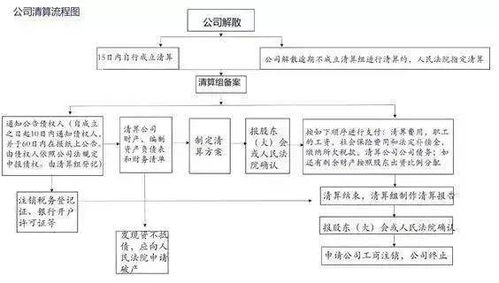 支委会表决流程不正规怎么整改(支委会表决方式)