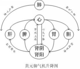 黄帝内经阴阳五行脏腑的生理 喝冷饮 早上洗澡 熬夜名医眼中的作死指南