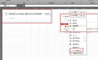 怎样在Excel中插入图片后让它变成统一一样大 