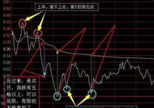 t是涨还是跌呢」-股市年前一般涨还是跌