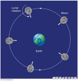月球为什么只有一面朝向我们,在这背后是否存在某种物理原理
