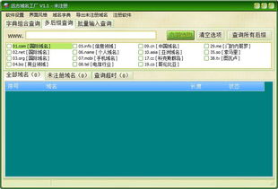 域名批量查询工具 远方域名工厂 v1.1 官方版下载 9553下载 