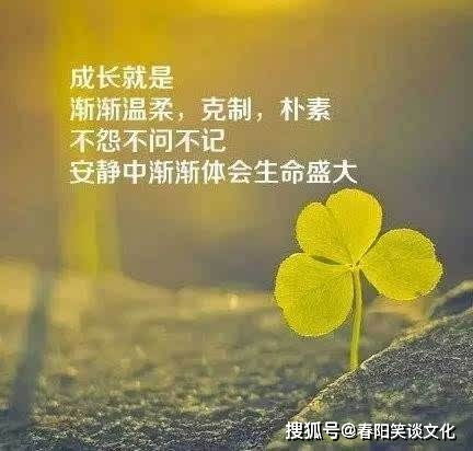 早安简短心情说说短句 句句精辟入心