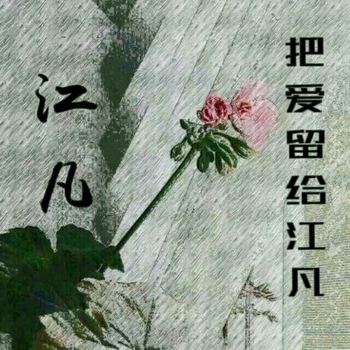 把爱留给江凡 江凡 高音质在线试听 把爱留给江凡歌词 歌曲下载 酷狗音乐 