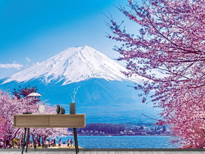 富士山樱花背景图高清 图片搜索