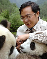 十七大代表谈大熊猫保护 