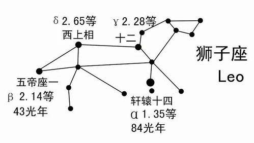 认识春季星座 二 狮子座