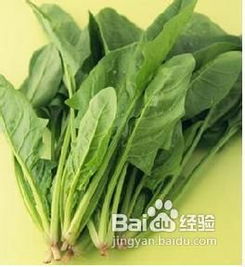 现在合适吃什么青菜