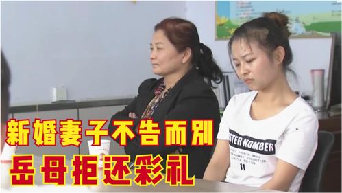 花80万娶妻,刚结婚就失踪了,回家后丈夫说什么也要退婚,纪录片 