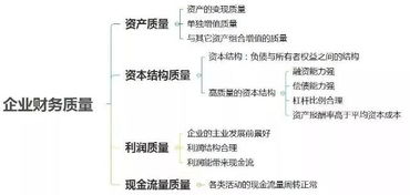 如何进行-财务分析的收入质量分析？