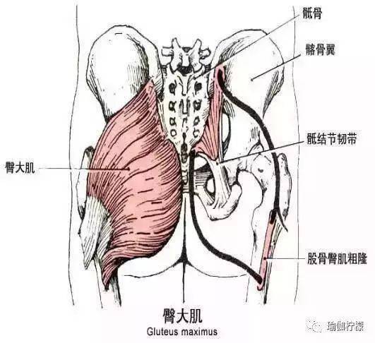 开髋之前,请先做到这点