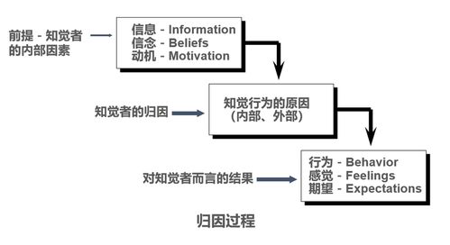 35思维模型 归因理论一危险的因果关系