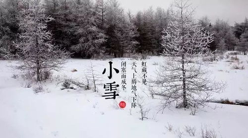 道合日签丨2021.11.22 小雪