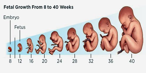 原创小宝贝37周出生和40周出生，哪个比较合适？不妨了解下