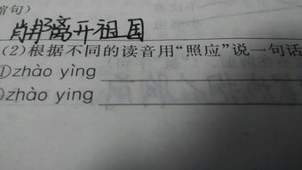 麻烦大家发几个特殊文字吧 要附加读音哦 像灬（huo）这样 谢谢大家了~~