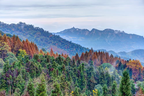 五一四川旅游