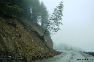 艰险山路行 去往四姑娘山的路上