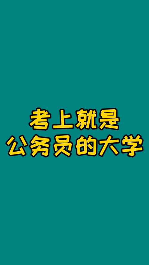 大学可以自考公务员吗吗,自考本科可以考公务员吗？(图4)