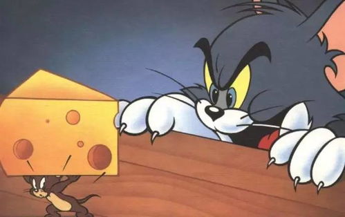 奶酪究竟是什么,能让猫和老鼠相爱相杀了70多年