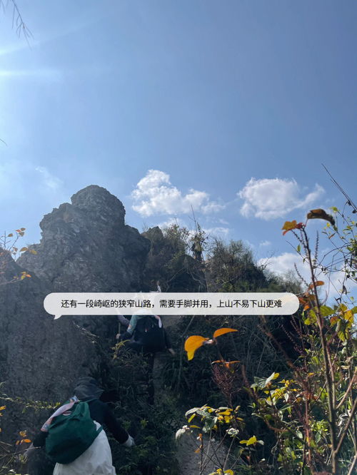 广州周边1日游 攻略 肇庆古水河 马骝山 