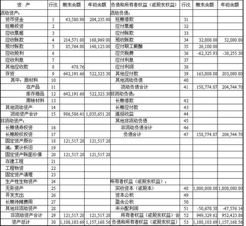 您好，怎么从全盘帐中看出问题，资产负债表怎么看，还有明细表那些