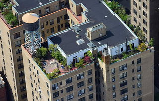 纽约民众高楼顶建造迷你空中花园 