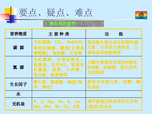 工业微生物的发酵培养浅析