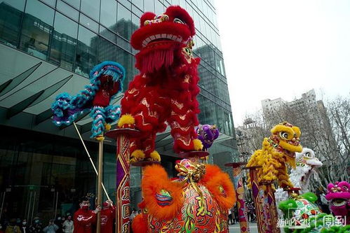 南派 醒狮 ,梅花桩上跳跃翻滚,市民惊叹连连 晨镜头