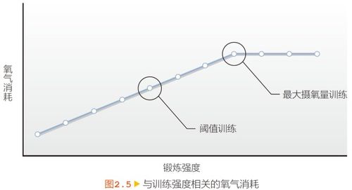 如何提高自己的最大摄氧量