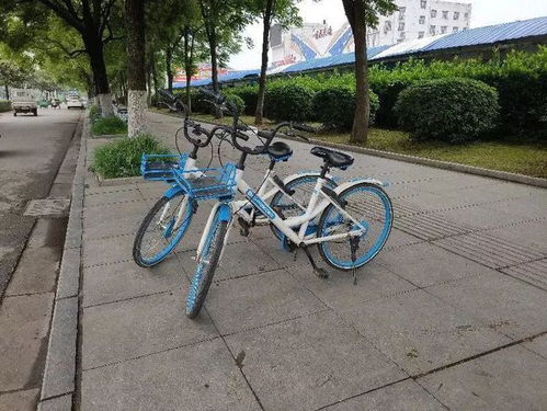 荆州的共享单车怎么用