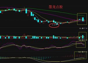 谁能给我分析一下600268国电南自的走势？